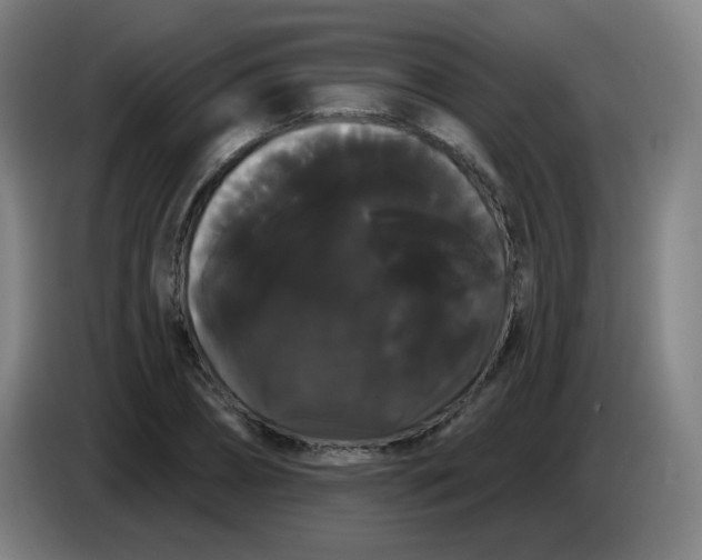 X0000085220882200703301701