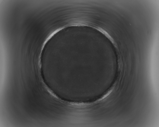 X0000085220885200703301701