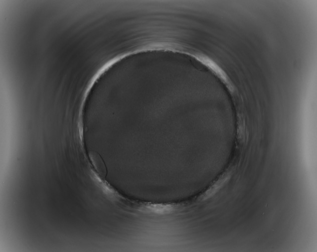 X0000085220888200703301701