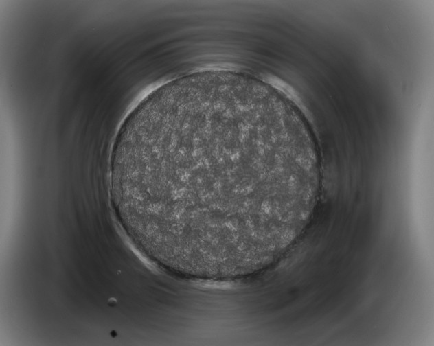 X0000085220890200703301701