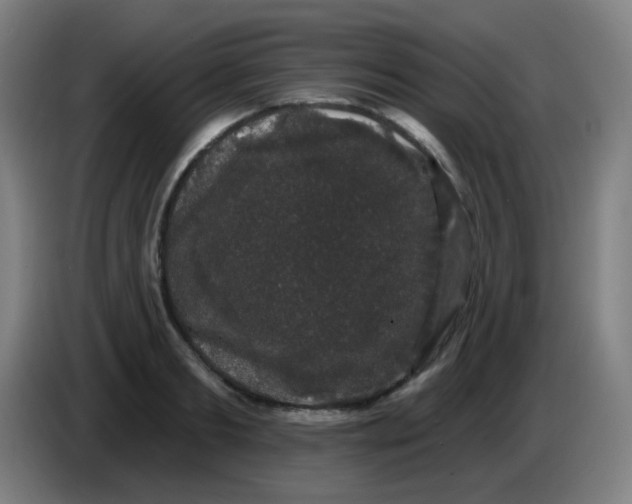 X0000085220893200703301701