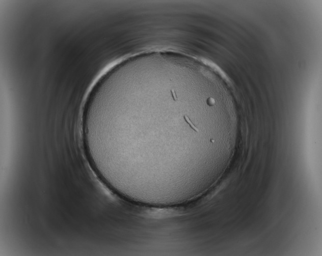 X0000085220894200703301701