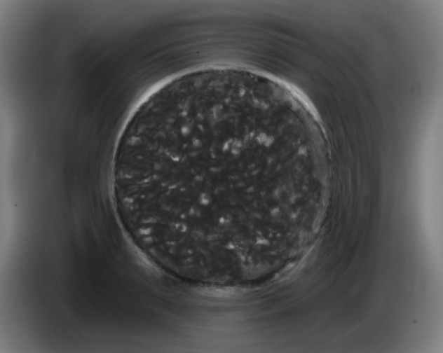 X0000085220895200703301701