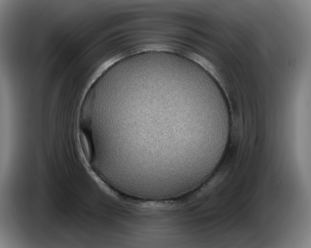 X0000085220898200703301701
