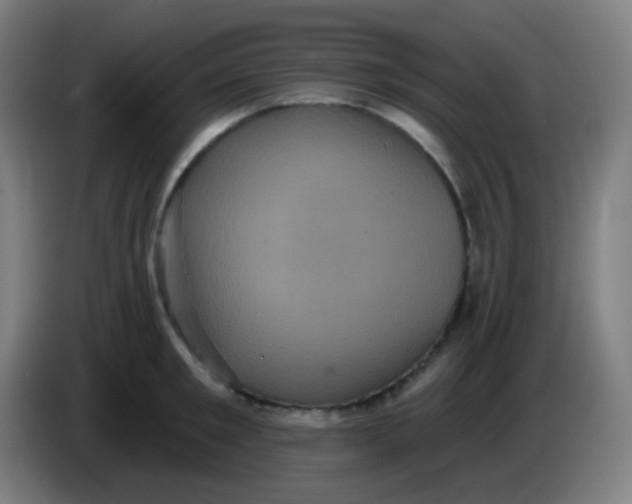 X0000085220901200703301701