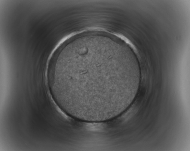 X0000085220902200703301701