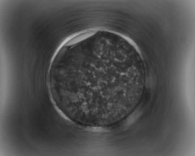 X0000085220903200703301701