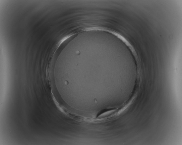 X0000085220905200703301701