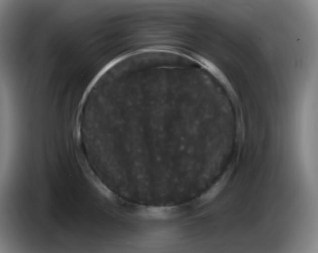 X0000085220908200703301700