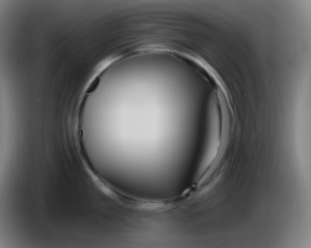 X0000085220909200703301700