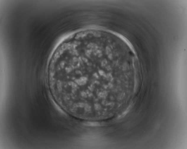 X0000085220911200703301700