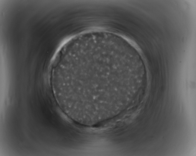 X0000085220912200703301700