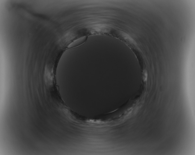 X0000085220915200703301700