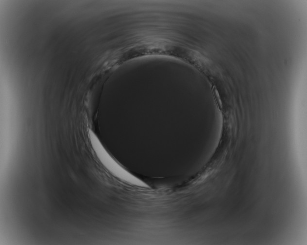 X0000085220916200703301700