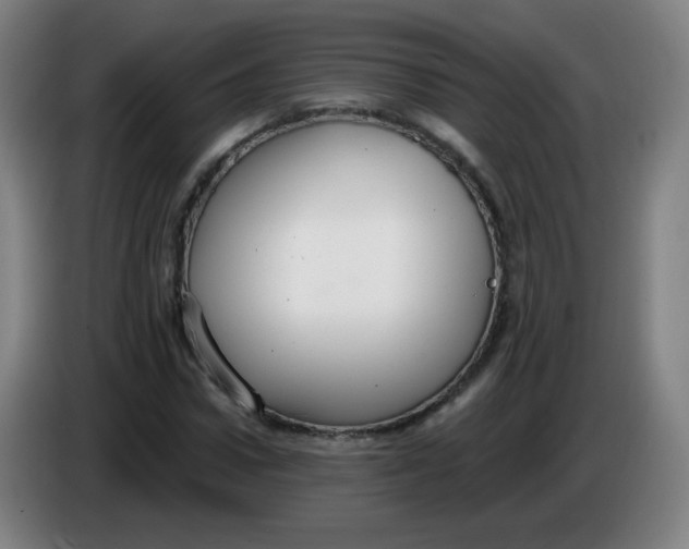 X0000085220922200703301700