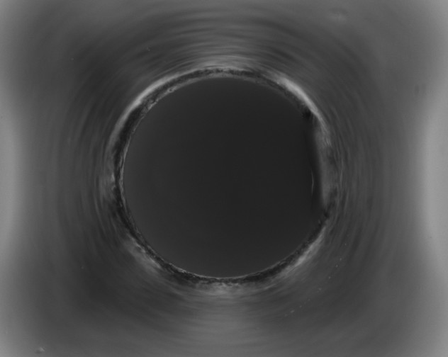 X0000085220923200703301700