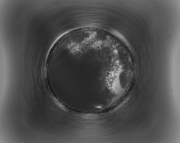 X0000085220924200703301700