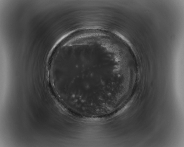 X0000085220925200703301700