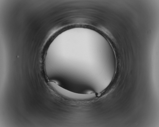 X0000085220926200703301700