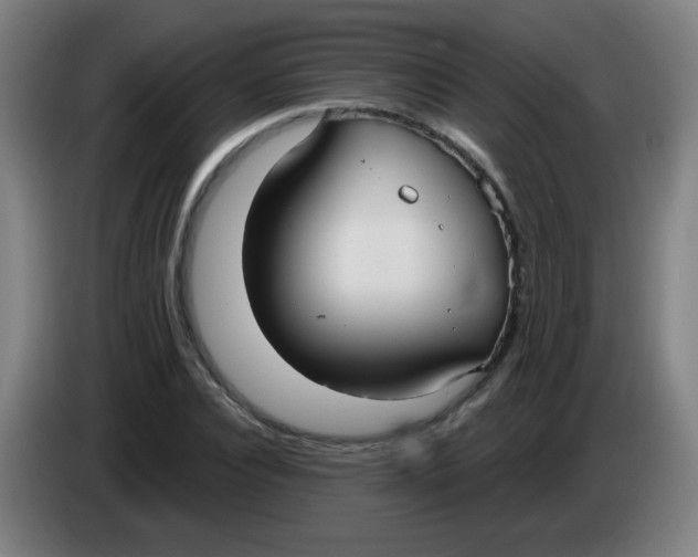 X0000085220928200703301700