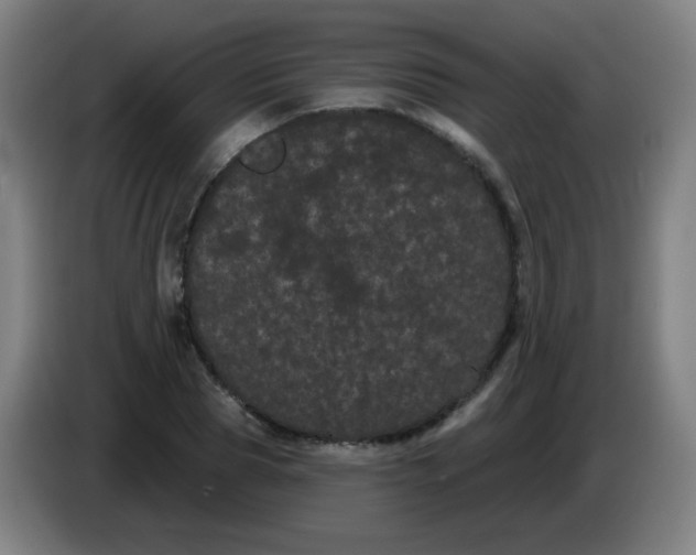 X0000085220929200703301700