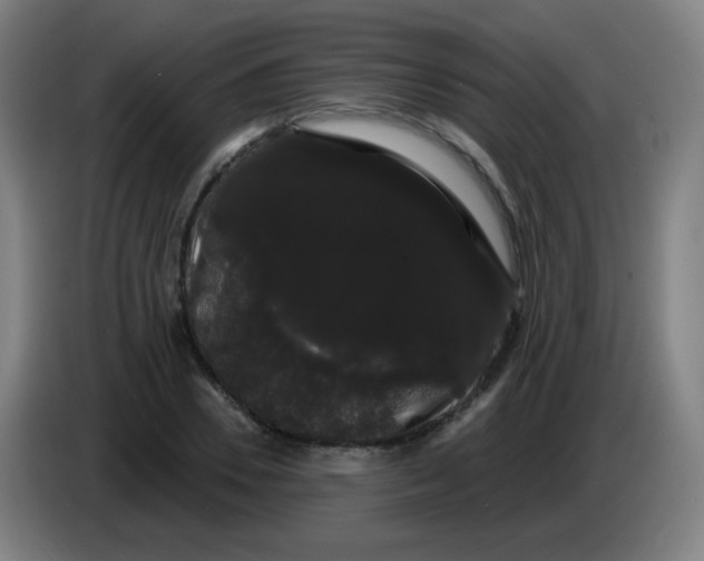 X0000085220930200703301700