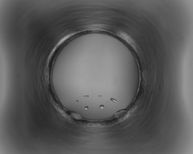 X0000085220931200703301700