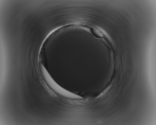 X0000085220932200703301700
