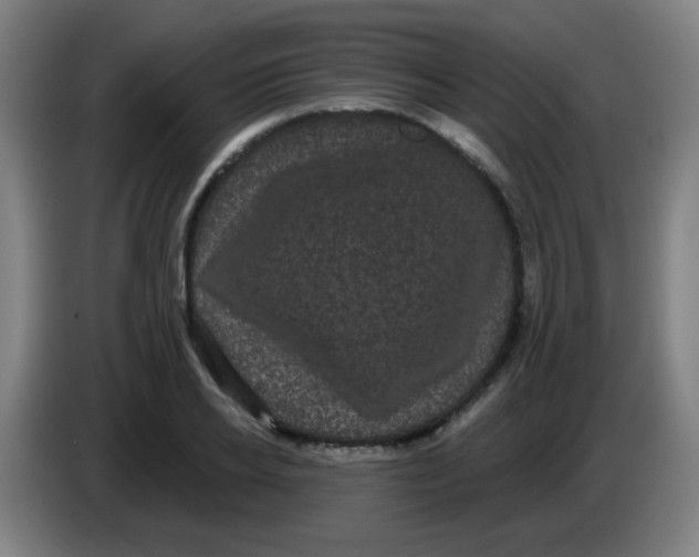 X0000085220934200703301700