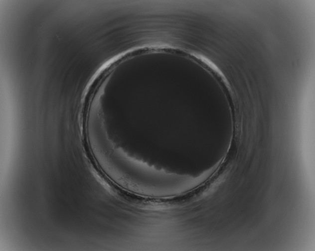 X0000085220935200703301700
