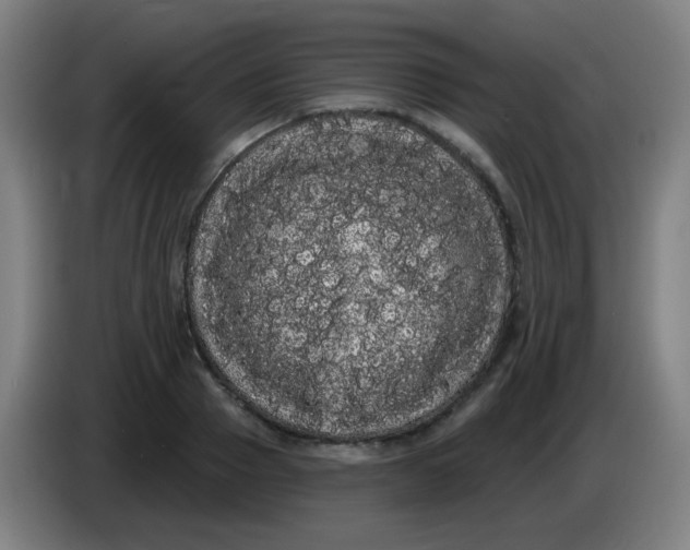 X0000085220937200703301700