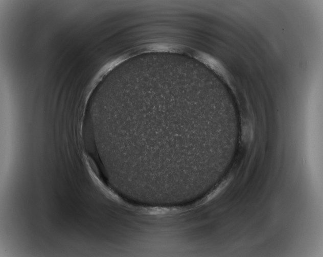 X0000085220938200703301700