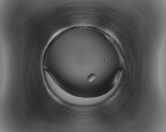 X0000085220942200703301700