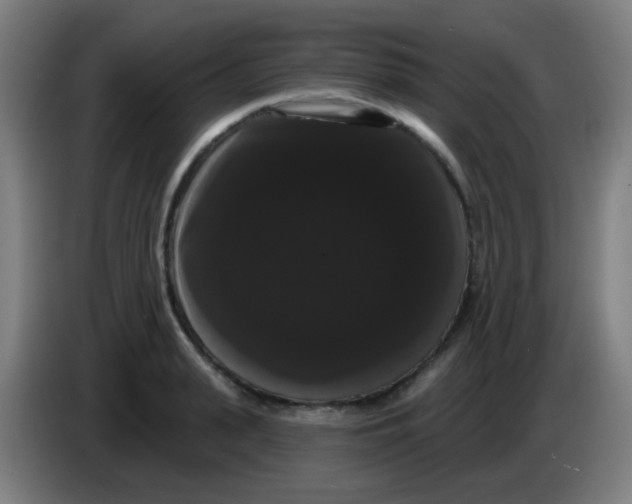 X0000085220943200703301700