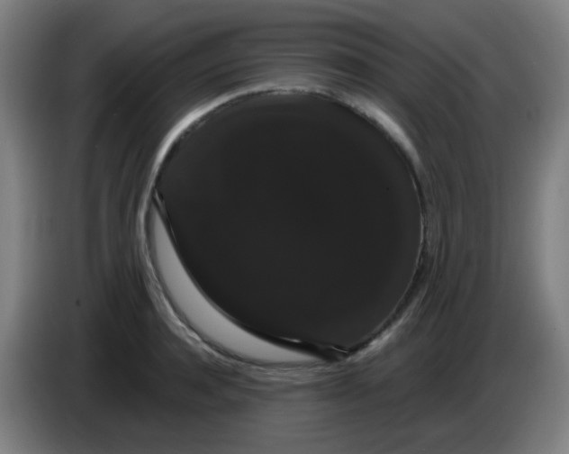 X0000085220944200703301700