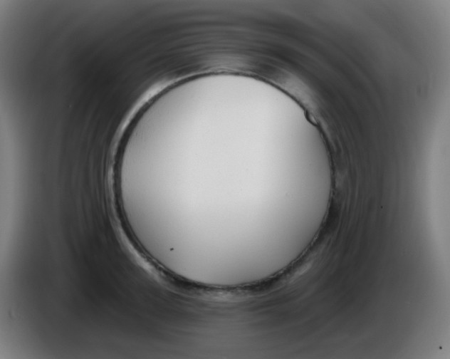 X0000085220947200703301700