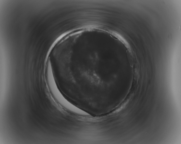 X0000085220948200703301700