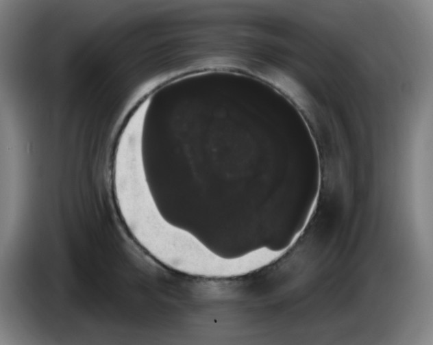X0000085220950200703301700