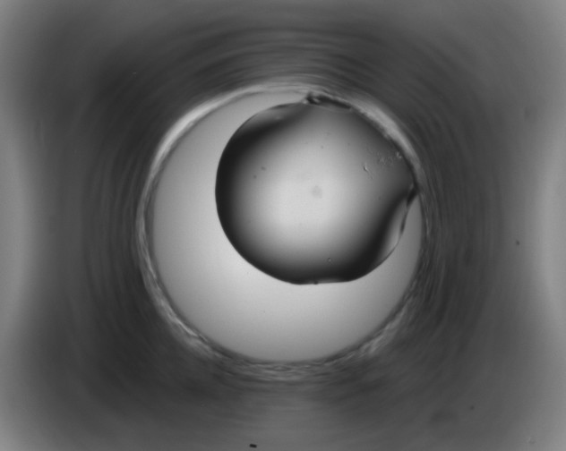 X0000085220952200703301700