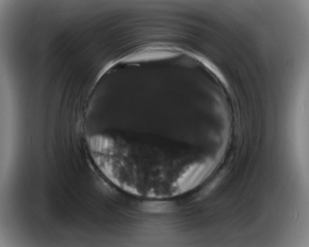 X0000085220953200703301700