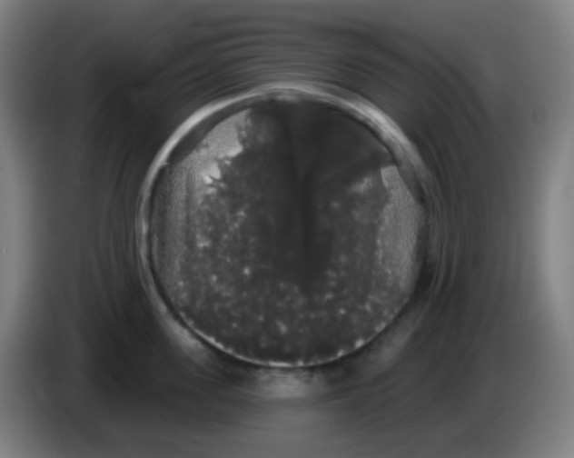X0000085220955200703301700