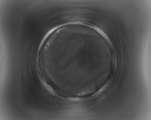 X0000085220956200703301700