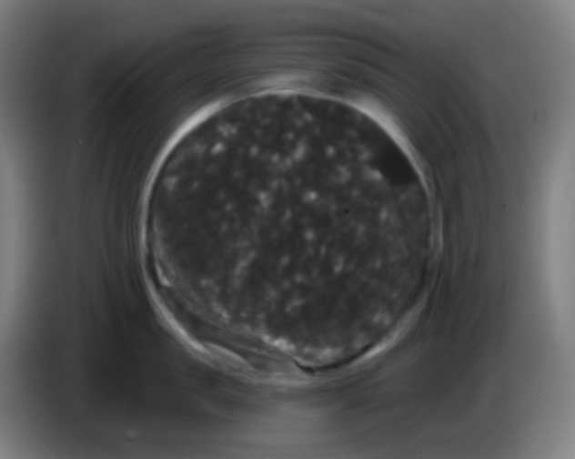 X0000085220957200703301700