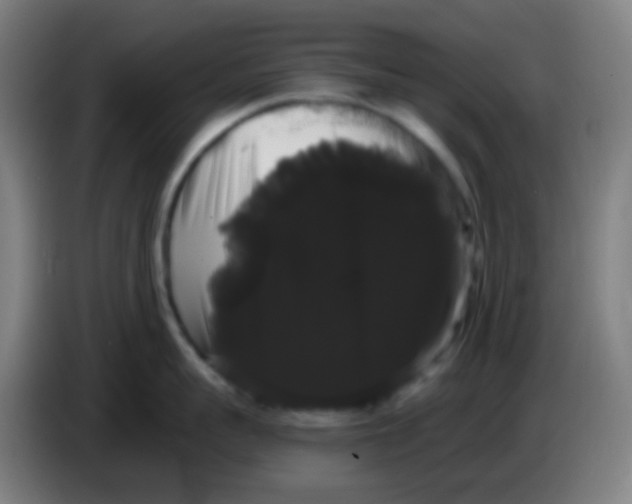 X0000085220959200703301700