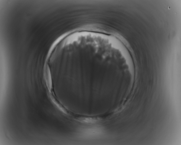 X0000085220960200703301700