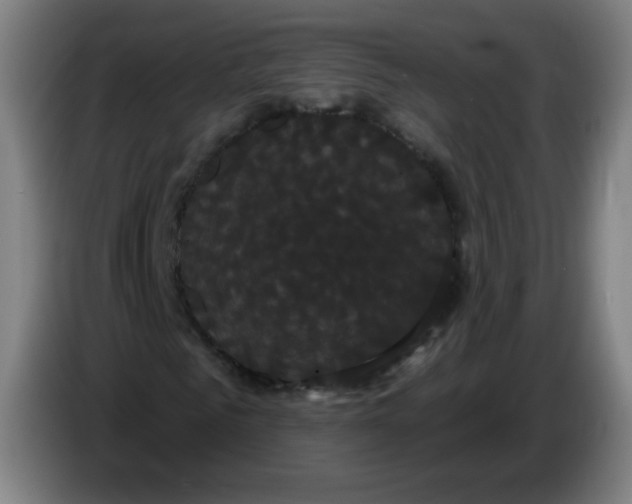 X0000085220961200703301700