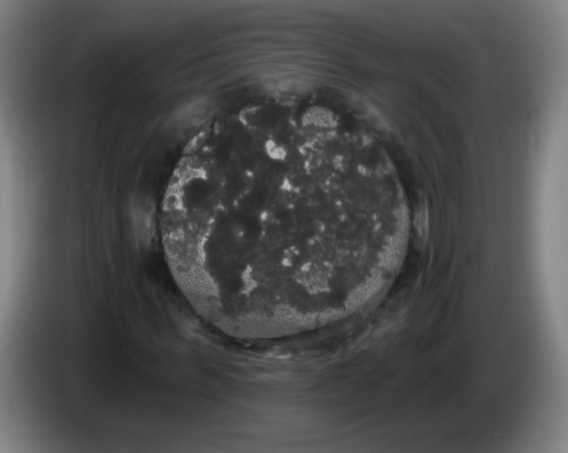X0000085220963200703301700
