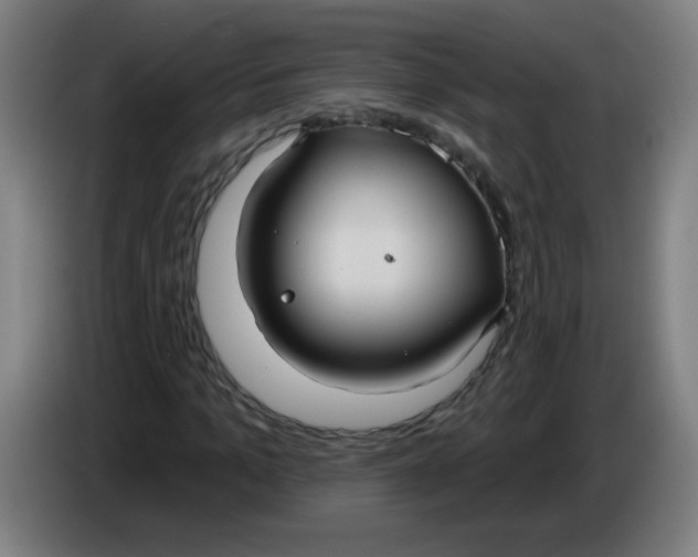 X0000085220965200703301700