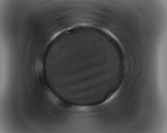 X0000085220969200703301700
