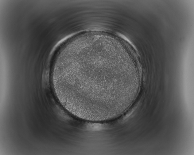 X0000085220971200703301700